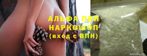 спиды Лагань