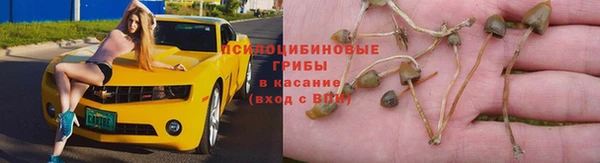 круглые Лиски