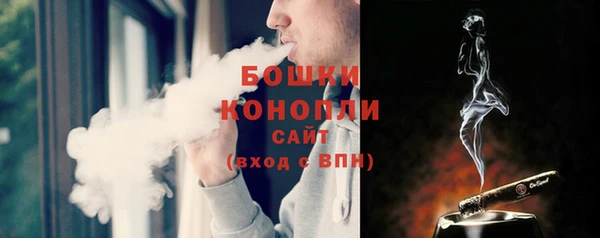 гидра Лихославль