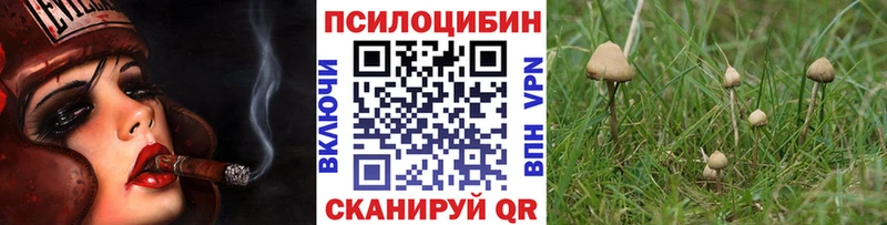 Купить  Нурлат  Псилоцибиновые грибы MAGIC MUSHROOMS 